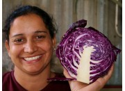  SPRAY FREE RED CABBAGE HALF (MEDIUM)  KATIKATI Grown 